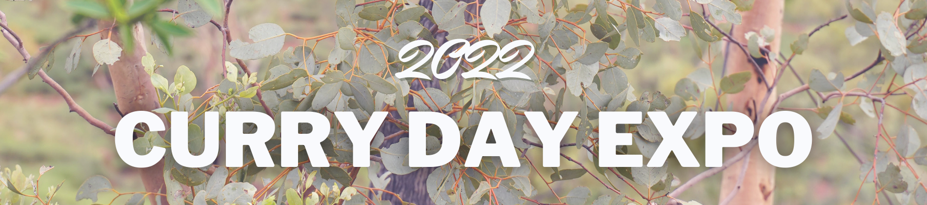 2022 Curry Day website banner