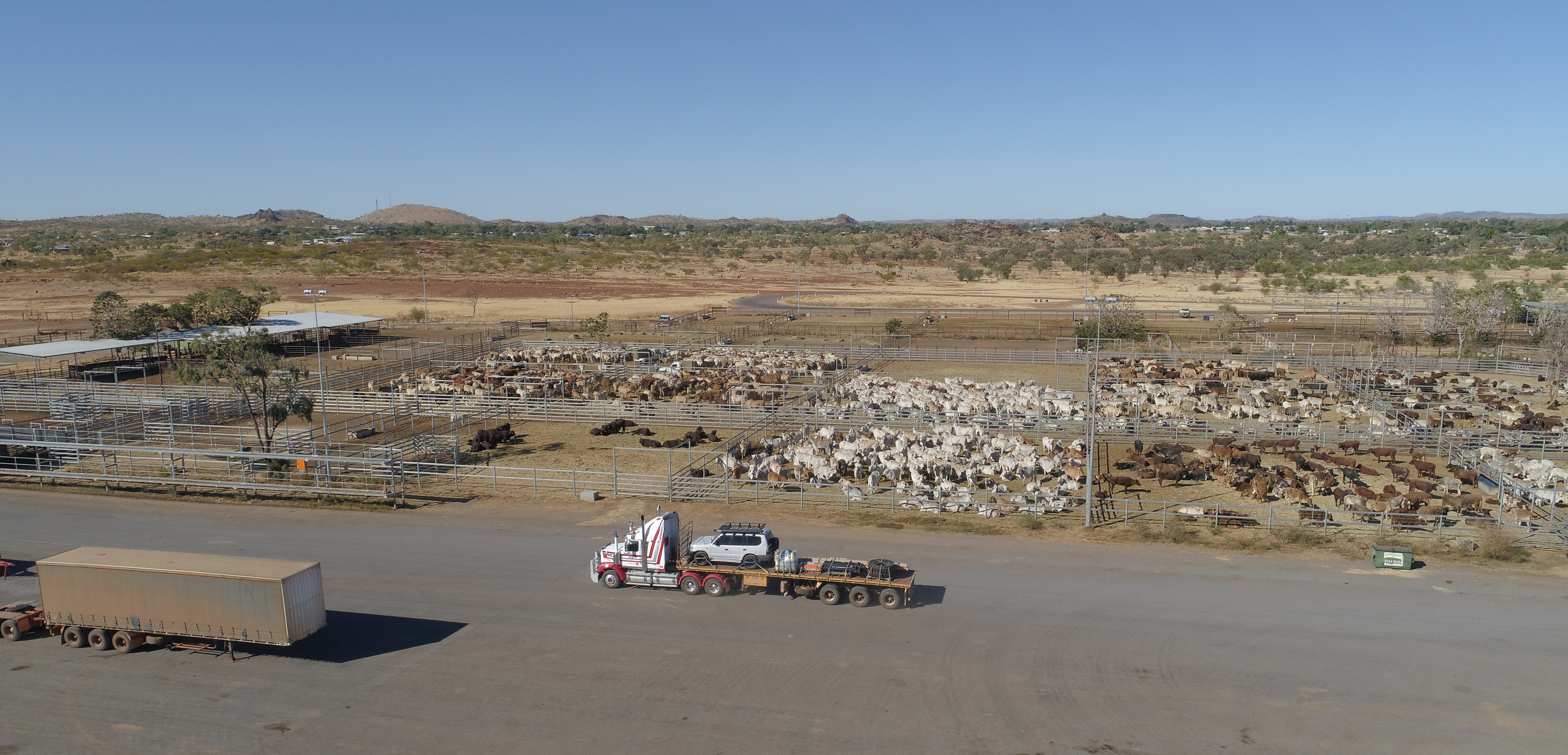 Cloncurry saleyard